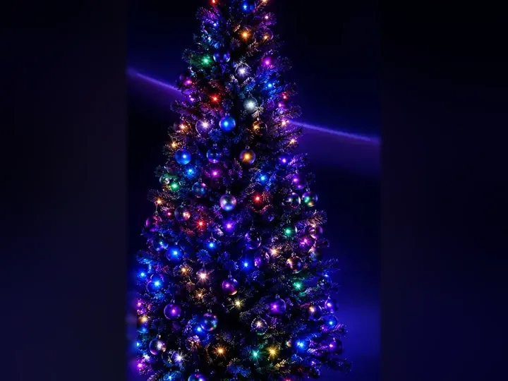 The Christmas Tree Light category.