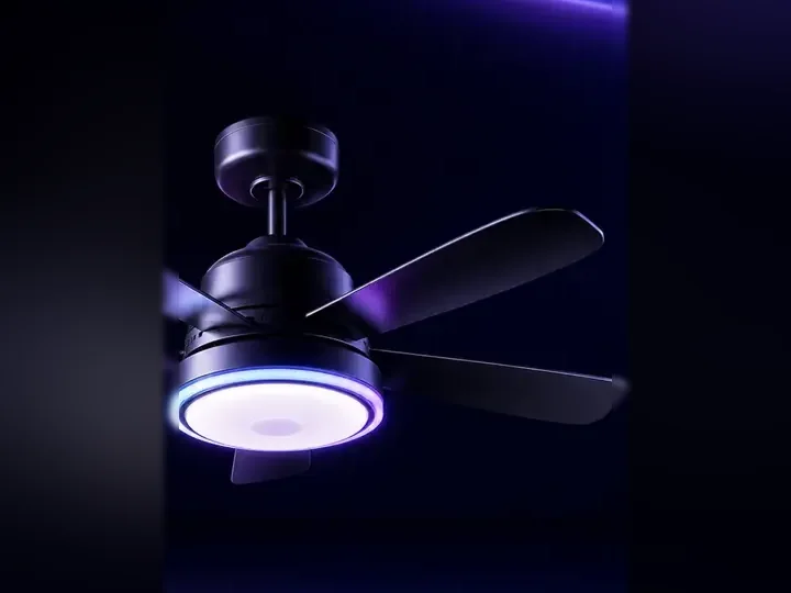 The Ceiling Fan Light category.